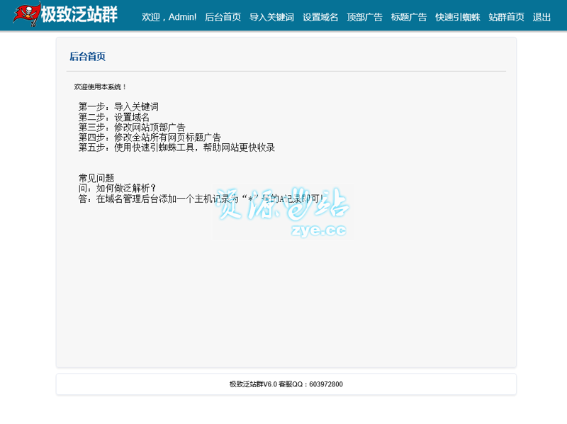 站群程序市场现状与发展趋势